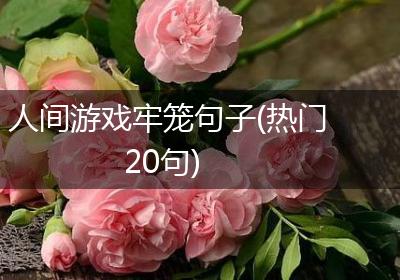 人间游戏牢笼句子(热门20句)