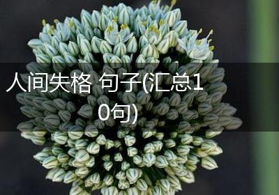 人间失格 句子(汇总10句)
