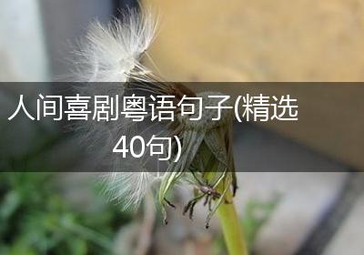 人间喜剧粤语句子(精选40句)