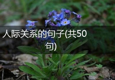 人际关系的句子(共50句)