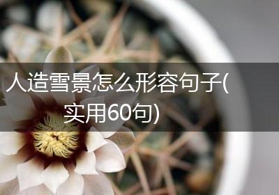 人造雪景怎么形容句子(实用60句)