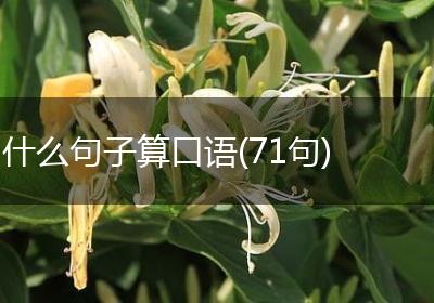 什么句子算口语(71句)