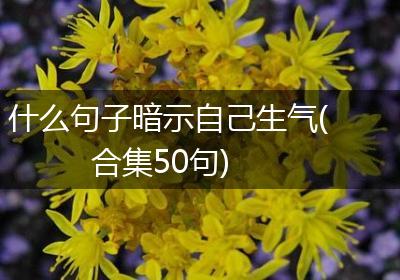 什么句子暗示自己生气(合集50句)