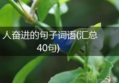 人奋进的句子词语(汇总40句)