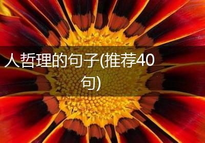 人哲理的句子(推荐40句)