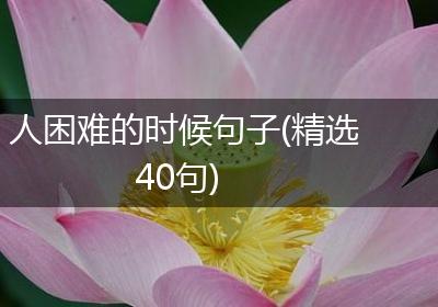 人困难的时候句子(精选40句)