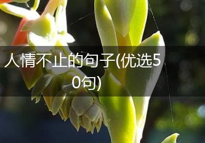 人情不止的句子(优选50句)