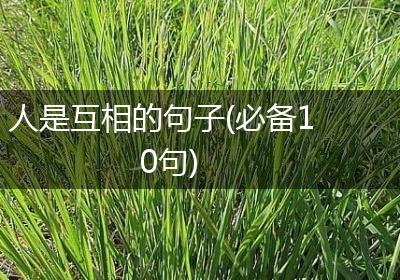 人是互相的句子(必备10句)