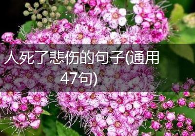 人死了悲伤的句子(通用47句)
