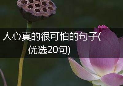 人心真的很可怕的句子(优选20句)
