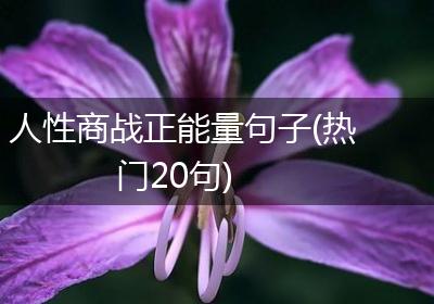人性商战正能量句子(热门20句)