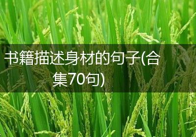 书籍描述身材的句子(合集70句)