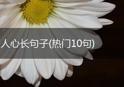 人心长句子(热门10句)