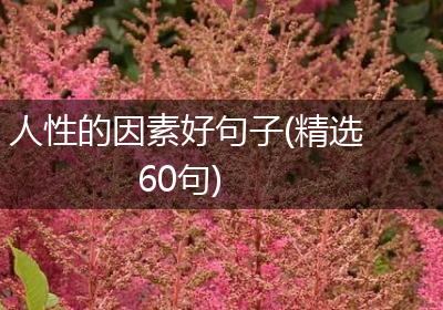 人性的因素好句子(精选60句)