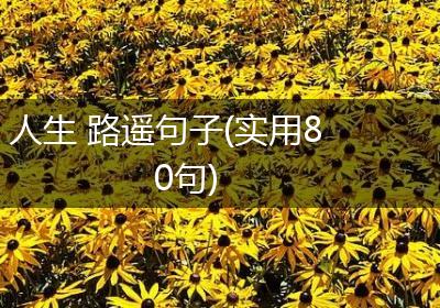 人生 路遥句子(实用80句)
