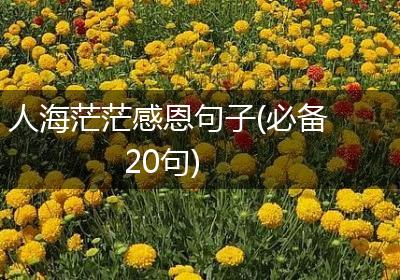 人海茫茫感恩句子(必备20句)