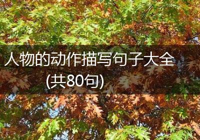 人物的动作描写句子大全(共80句)