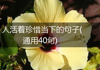 人活着珍惜当下的句子(通用40句)