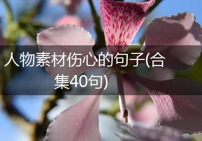人物素材伤心的句子(合集40句)