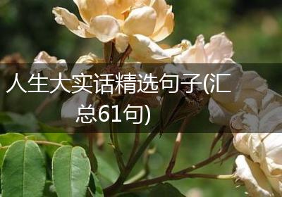 人生大实话精选句子(汇总61句)