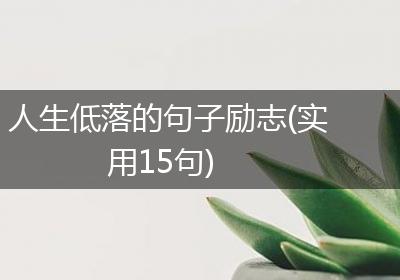 人生低落的句子励志(实用15句)