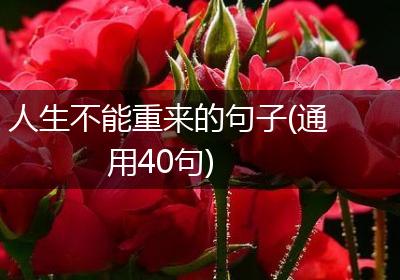 人生不能重来的句子(通用40句)