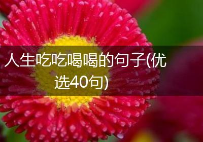 人生吃吃喝喝的句子(优选40句)