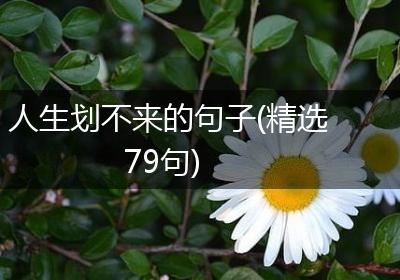 人生划不来的句子(精选79句)
