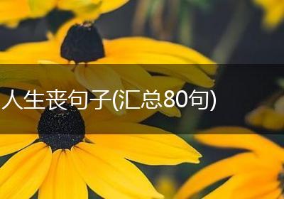 人生丧句子(汇总80句)
