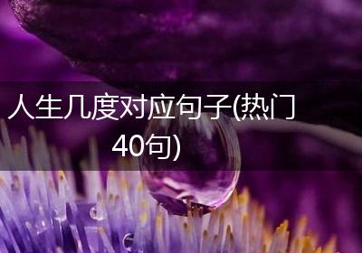 人生几度对应句子(热门40句)