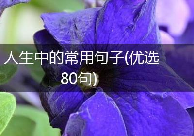 人生中的常用句子(优选80句)