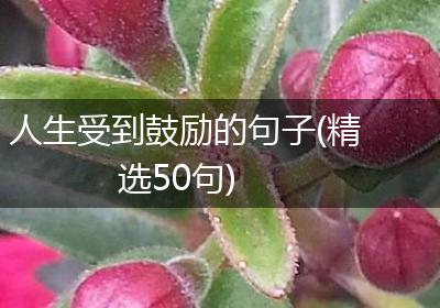 人生受到鼓励的句子(精选50句)