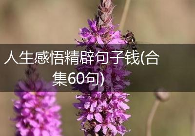 人生感悟精辟句子钱(合集60句)
