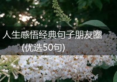 人生感悟经典句子朋友圈(优选50句)