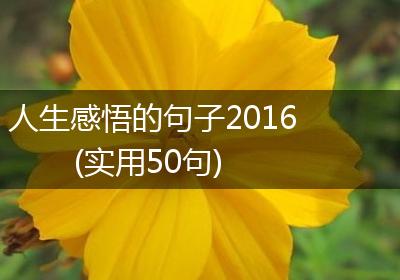 人生感悟的句子2016(实用50句)