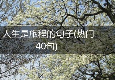 人生是旅程的句子(热门40句)