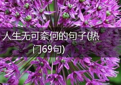 人生无可奈何的句子(热门69句)