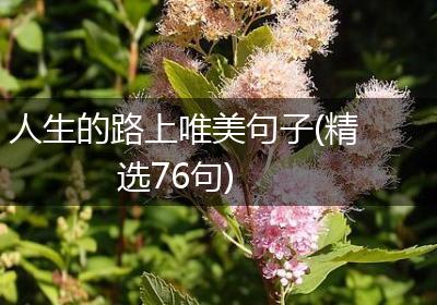 人生的路上唯美句子(精选76句)