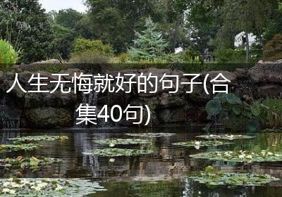 人生无悔就好的句子(合集40句)