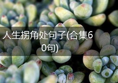 人生拐角处句子(合集60句)