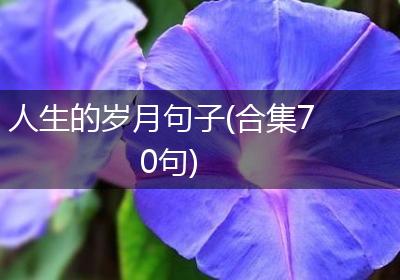 人生的岁月句子(合集70句)