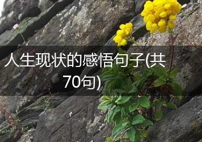 人生现状的感悟句子(共70句)