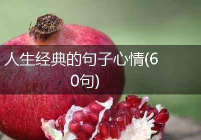 人生经典的句子心情(60句)