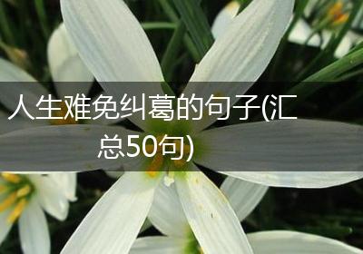 人生难免纠葛的句子(汇总50句)