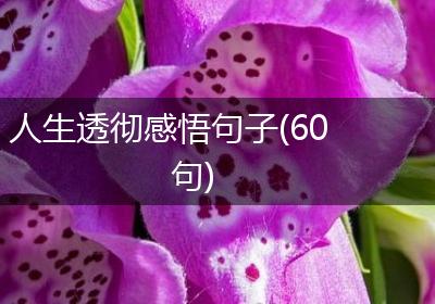 人生透彻感悟句子(60句)