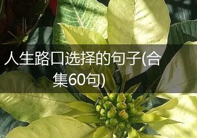 人生路口选择的句子(合集60句)