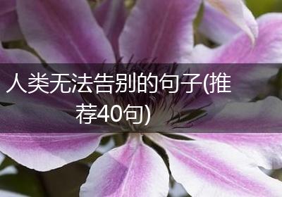 人类无法告别的句子(推荐40句)