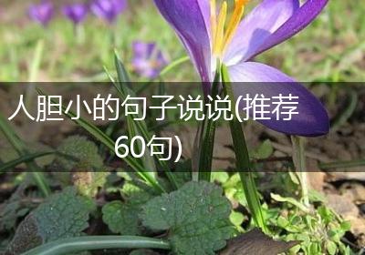 人胆小的句子说说(推荐60句)
