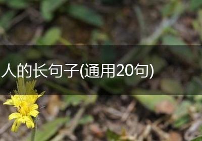 人的长句子(通用20句)