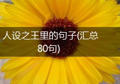 人设之王里的句子(汇总80句)